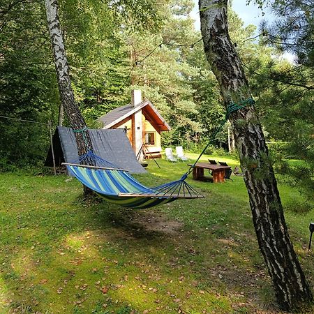Survivalowa Chata W Lesie Bukowsko Ngoại thất bức ảnh