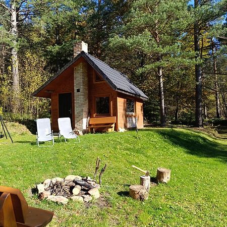 Survivalowa Chata W Lesie Bukowsko Ngoại thất bức ảnh