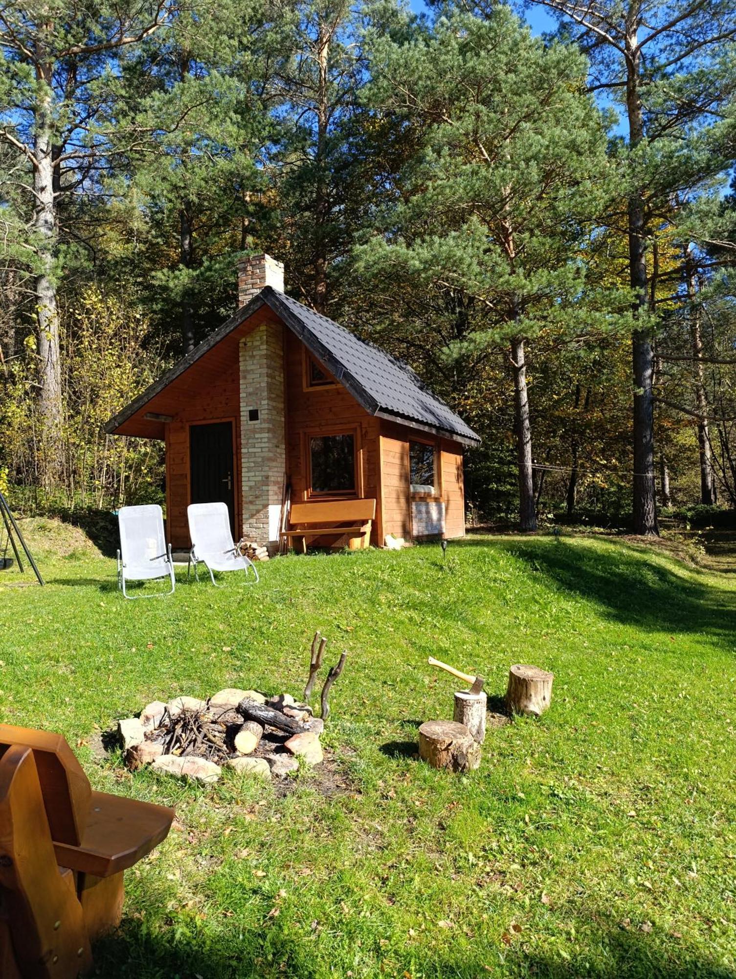 Survivalowa Chata W Lesie Bukowsko Ngoại thất bức ảnh